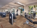 Wellness_Gym